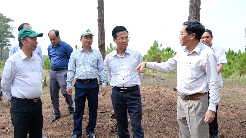 Phó Chủ tịch UBND tỉnh làm việc tại huyện Di Linh