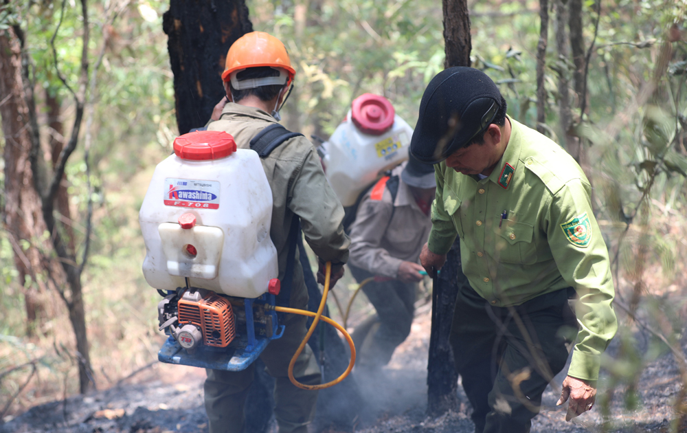 Khen thưởng tập thể và cá nhân xuất sắc trong công tác chữa cháy rừng tại đèo Prenn