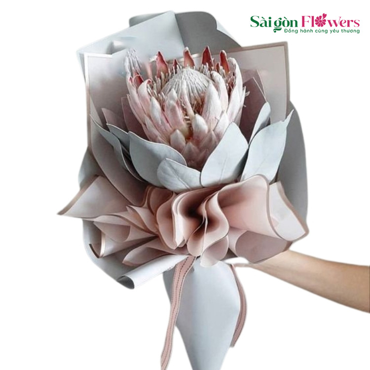 Bạn có thể tặng hoa này để thể hiện sự thanh cao, chúc mừng, xin lỗi hoặc thể hiện tình cảm
