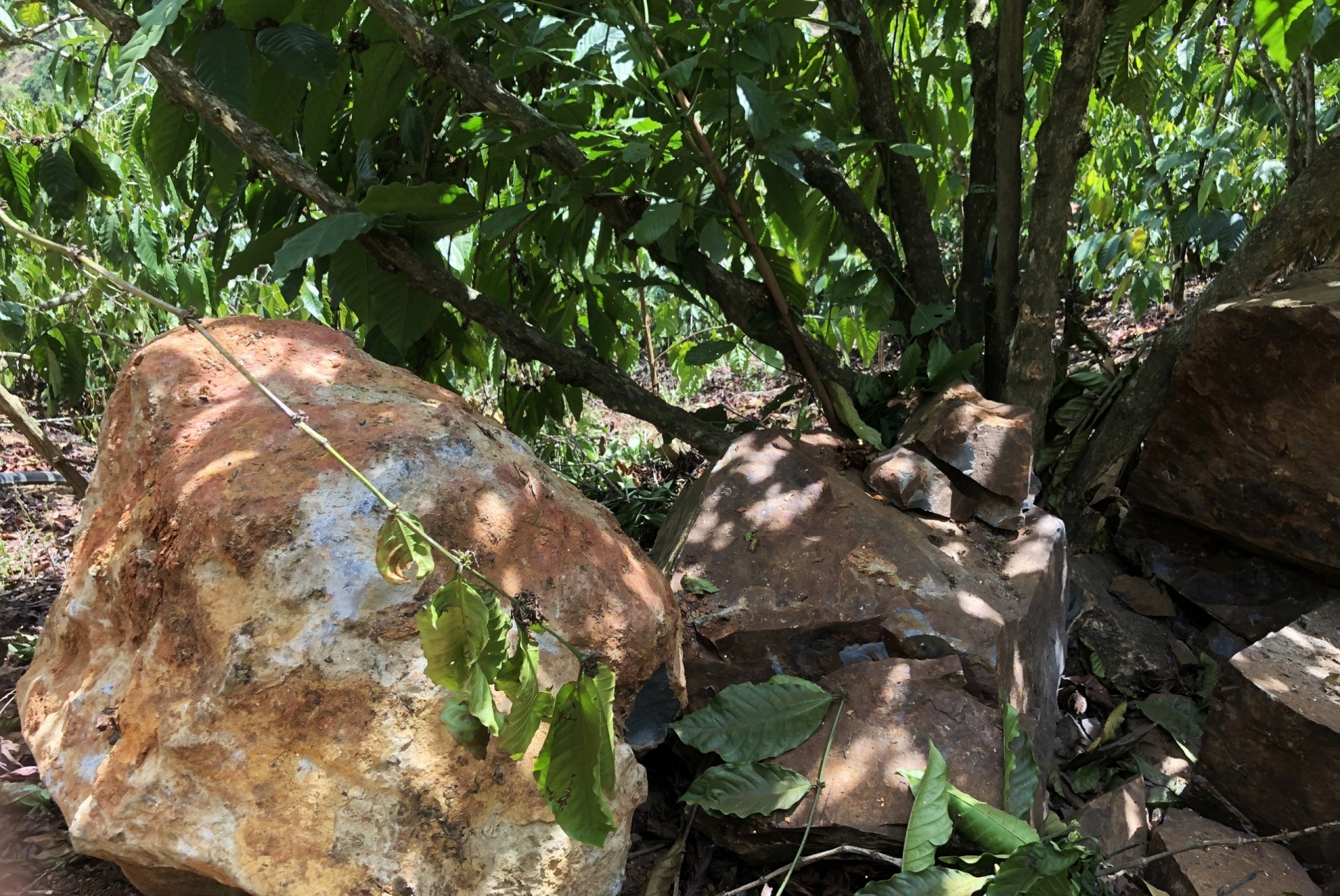 Những tảng đá lớn văng nằm la liệt trong vườn sản xuất của các hộ dân