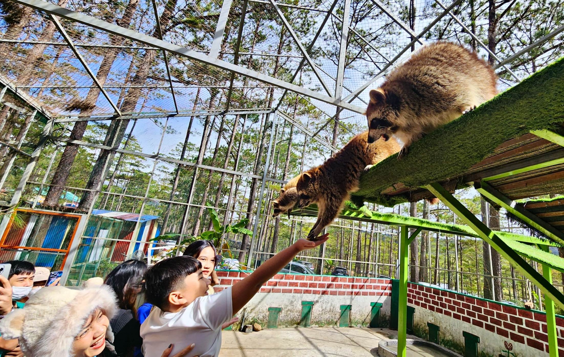 Người dân, du khách thích thú thăm vườn thú Vườn thú ZooDoo trên địa bàn huyện Lạc Dương, Lâm Đồng