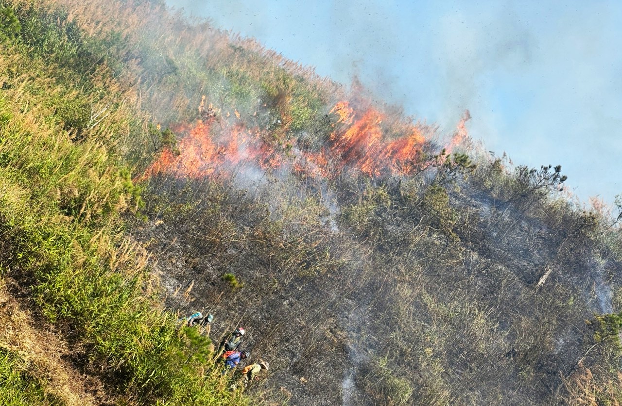 Ngọn lửa lan qua rừng tự nhiên nghèo kiệt tại Tiểu khu 484 ở nhiều vị trí, sau đó bùng phát lan rộng gây nhiều khó khăn cho công tác chữa cháy