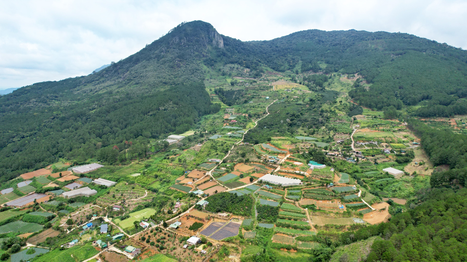 Lâm Đồng có tổng diện tích đất tự nhiên 978.120ha