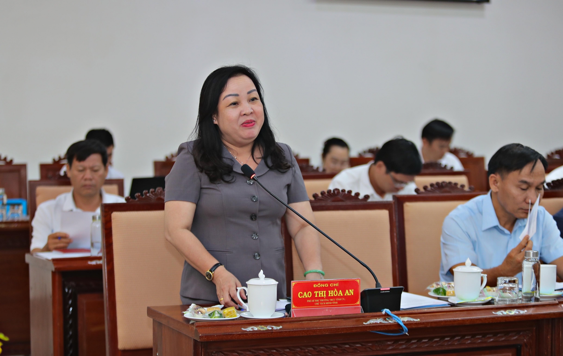 Đồng chí Cao Thị Hòa An, Phó Bí thư Thường trực Tỉnh, Chủ tịch HĐND tỉnh phát biểu