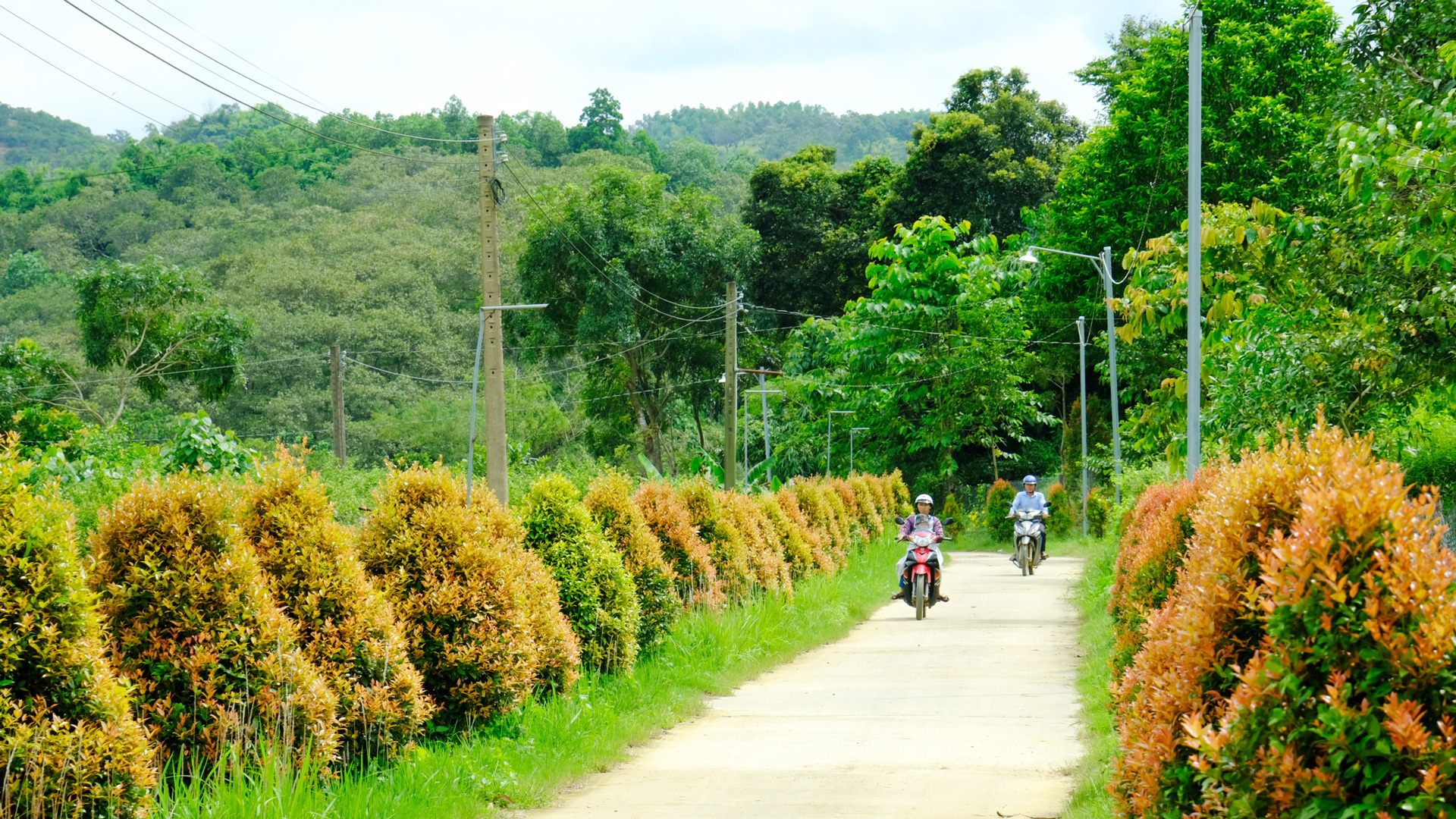 Người dân Cát Tiên tích cực tham gia trồng cây xanh, chỉnh trang nhà cửa, tiếp tục đóng góp xây dựng đường giao thông nông thôn
