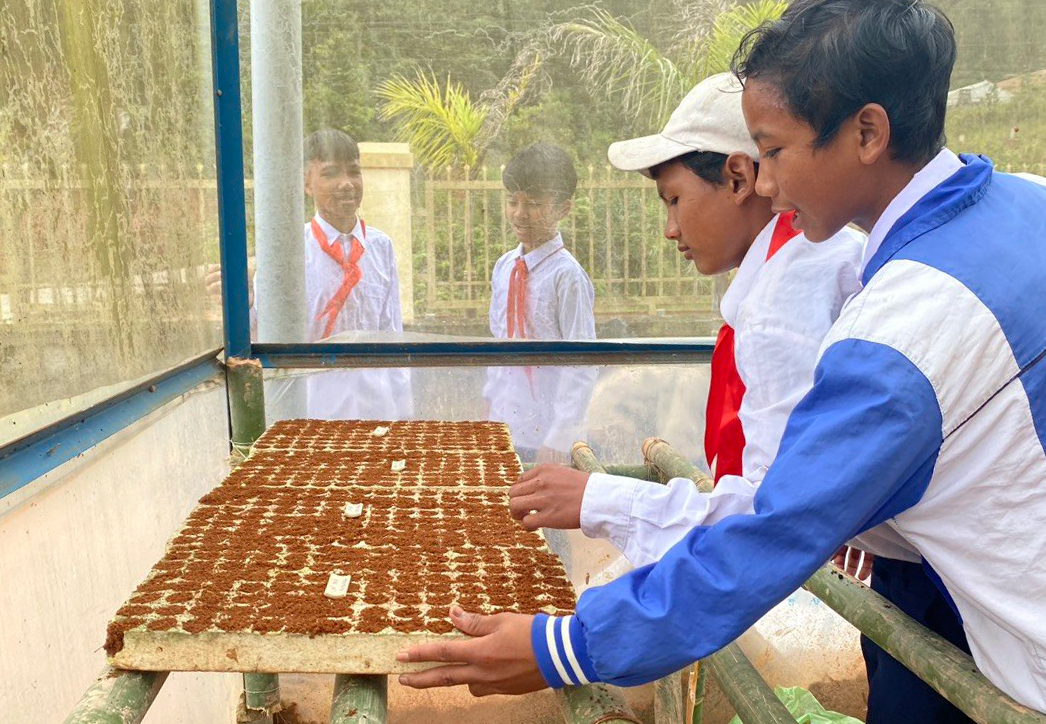 Học sinh Trường THCS Đưng Knớ học cách ươm hạt trong vỉ xốp.