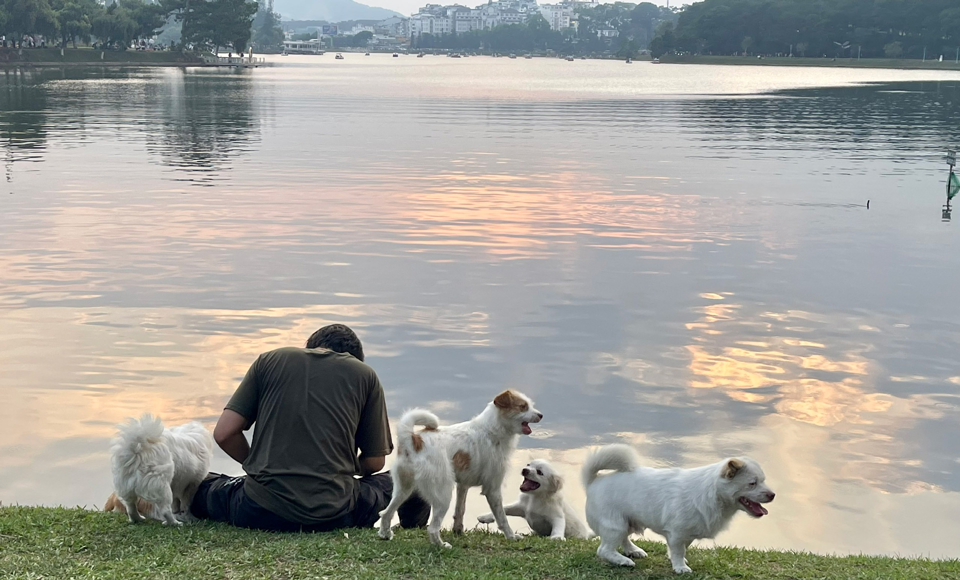 Người dân thường đưa thú cưng đi dạo quanh hồ Xuân Hương (theo quy định chó, mèo khi đưa ra khỏi nhà phải được xích, rọ mõm và có người dắt, đề phòng cắn người)