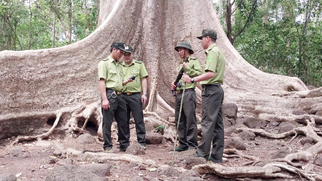 Lực lượng kiểm lâm tuần tra bảo vệ tài nguyên rừng ở Vườn Quốc gia Cát Tiên