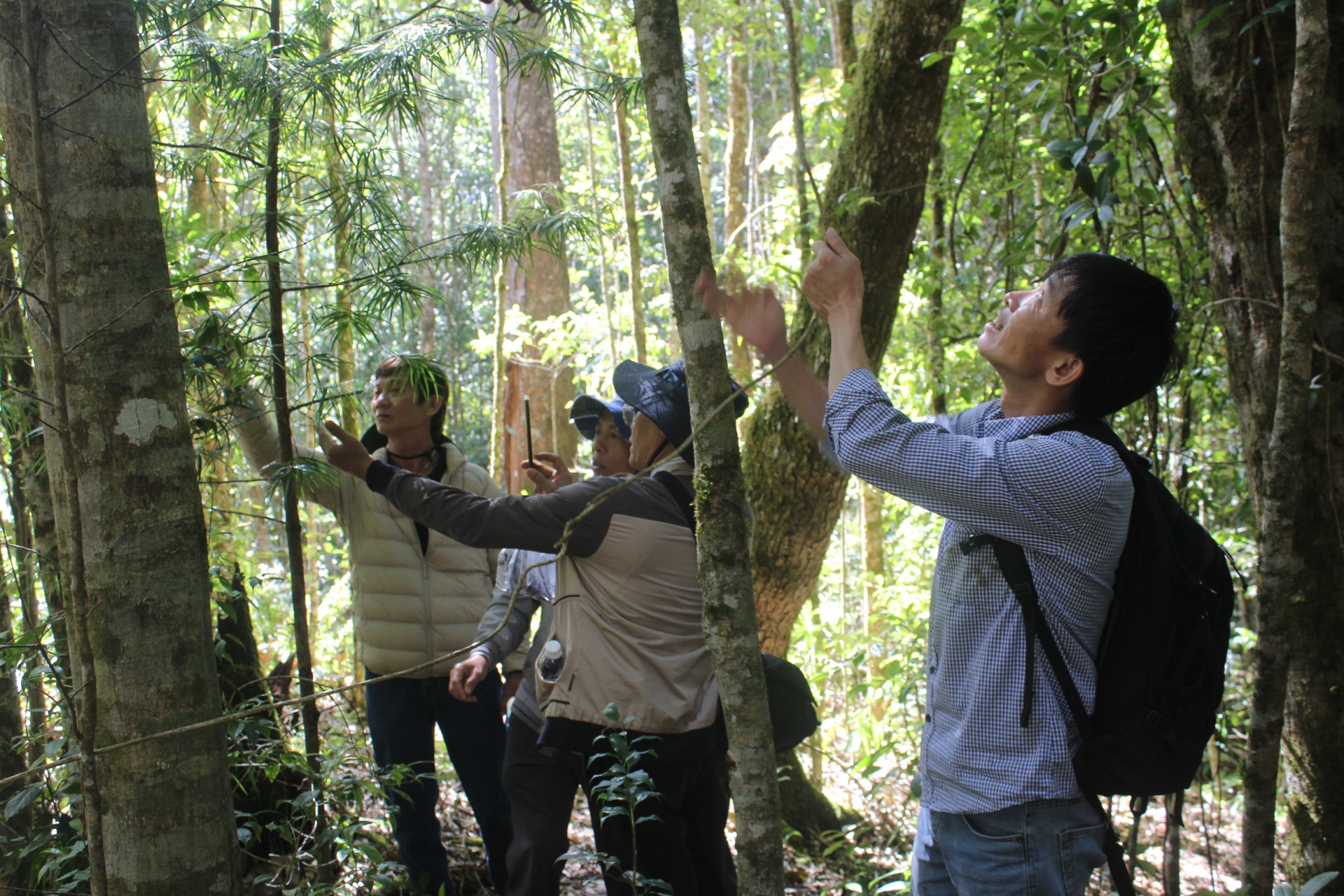 Bảo tồn đa dạng sinh học cao Khu dự trữ sinh quyển thế giới Lang Biang