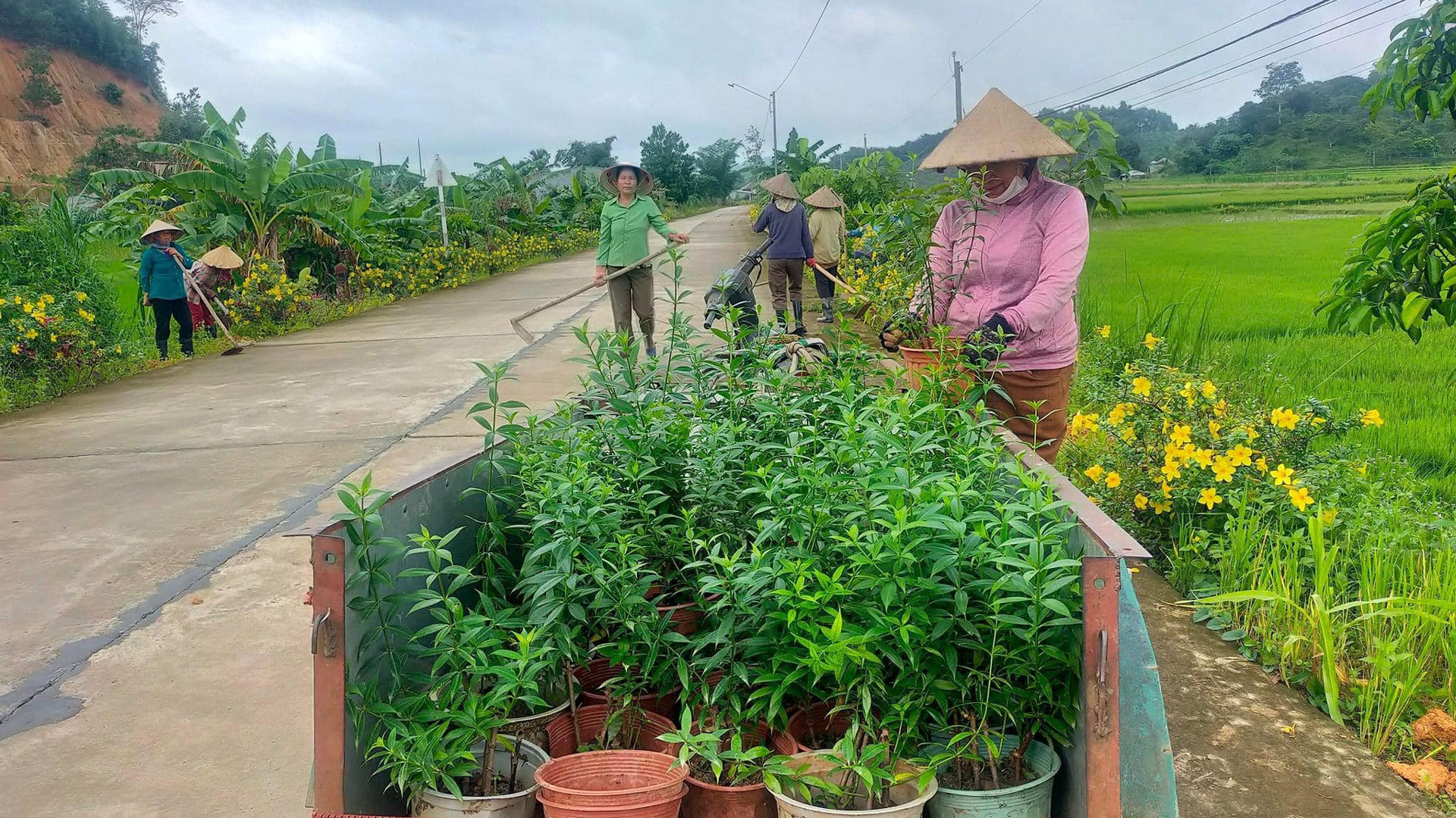 Phong trào xây dựng tuyến đường hoa trên địa bàn huyện Đạ Tẻh đã tạo diện mạo 
nông thôn mới ngày càng đổi thay theo hướng văn minh, sáng - xanh - sạch - đẹp