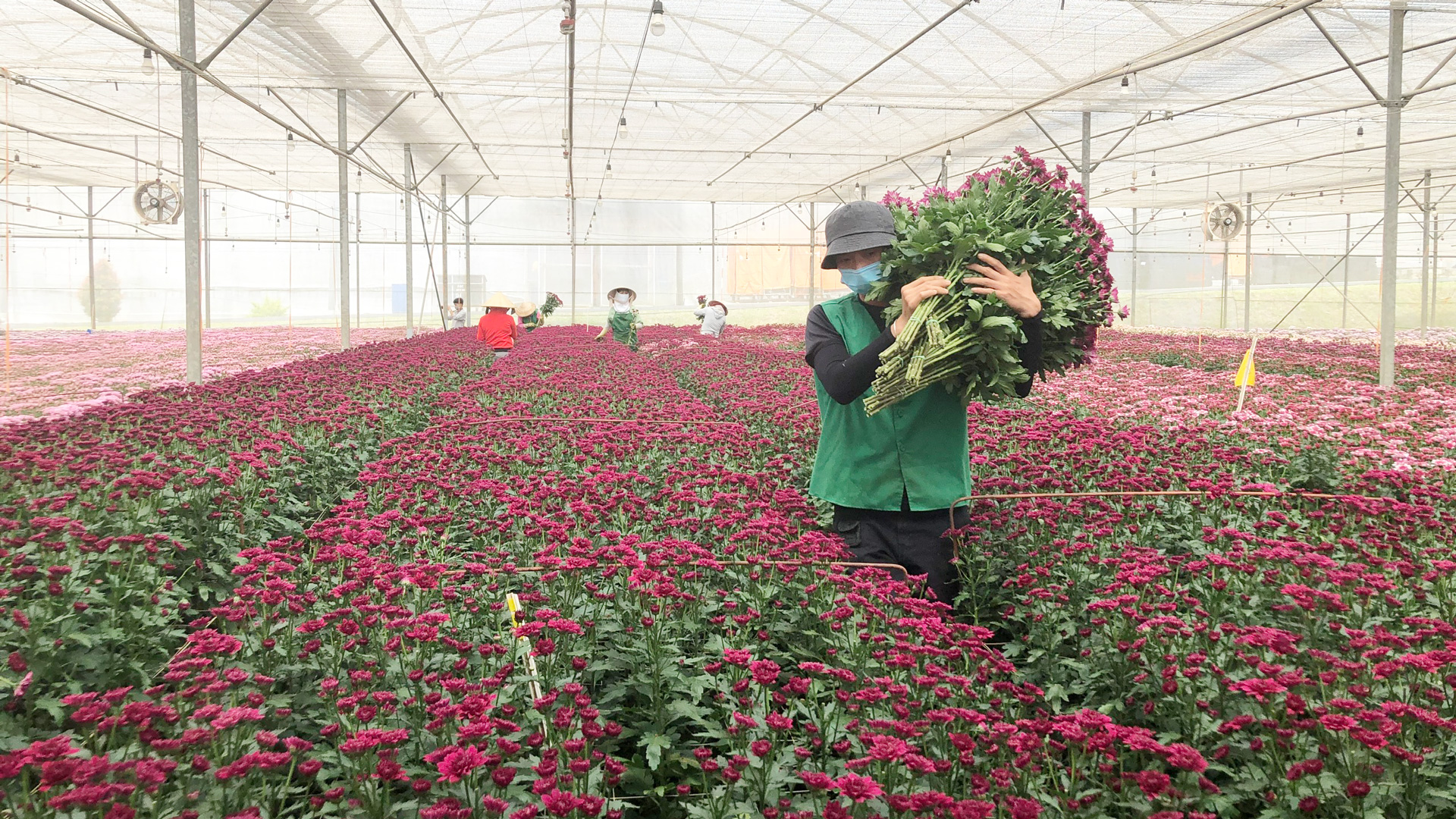 Người Lâm Đồng luôn lựa chọn và ưu tiên sử dụng hàng hóa được trồng, sản xuất tại địa phương đảm bảo an toàn, chất lượng