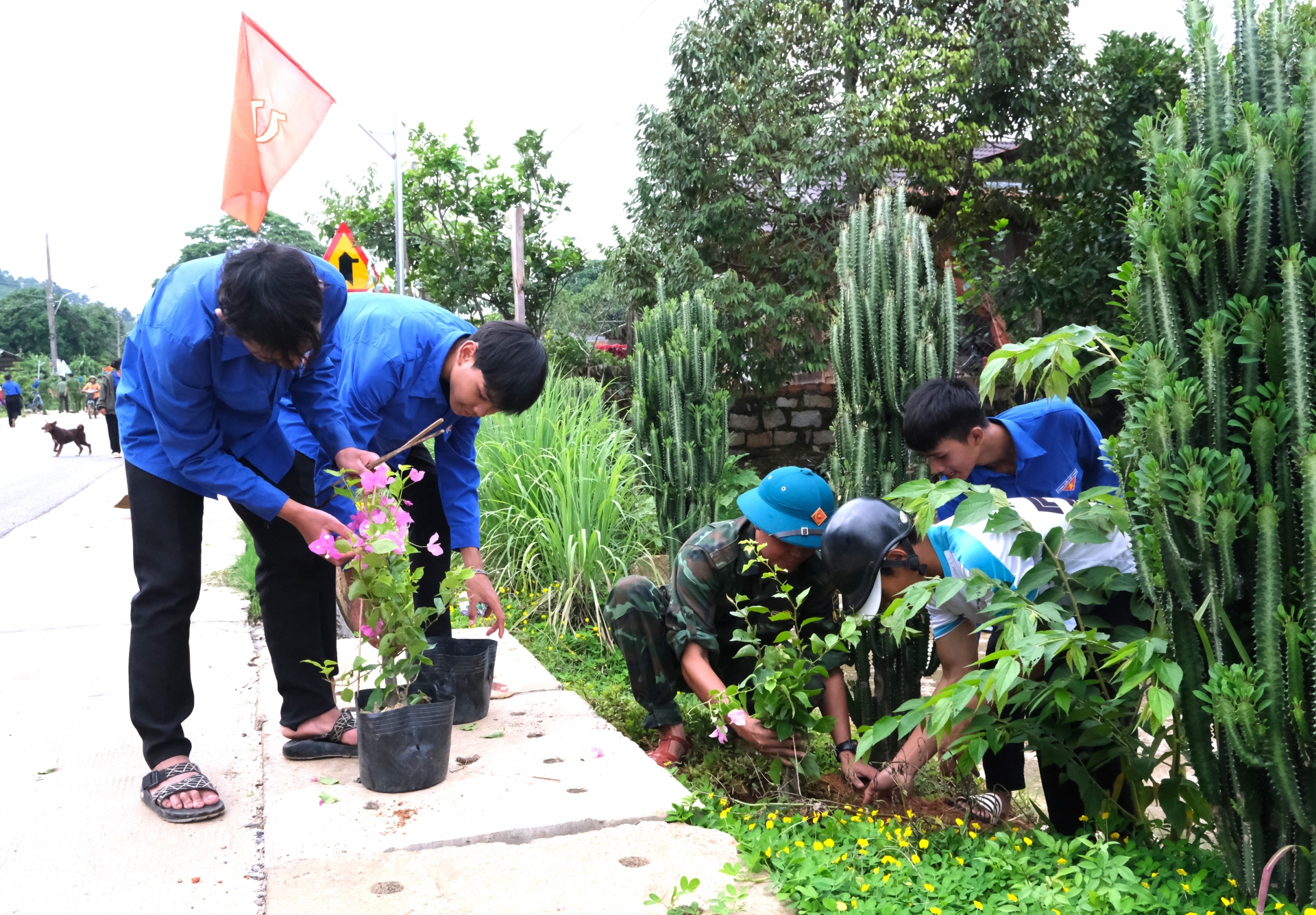Đoàn viên, thanh niên ra quân trồng 100 cây hoa giấy