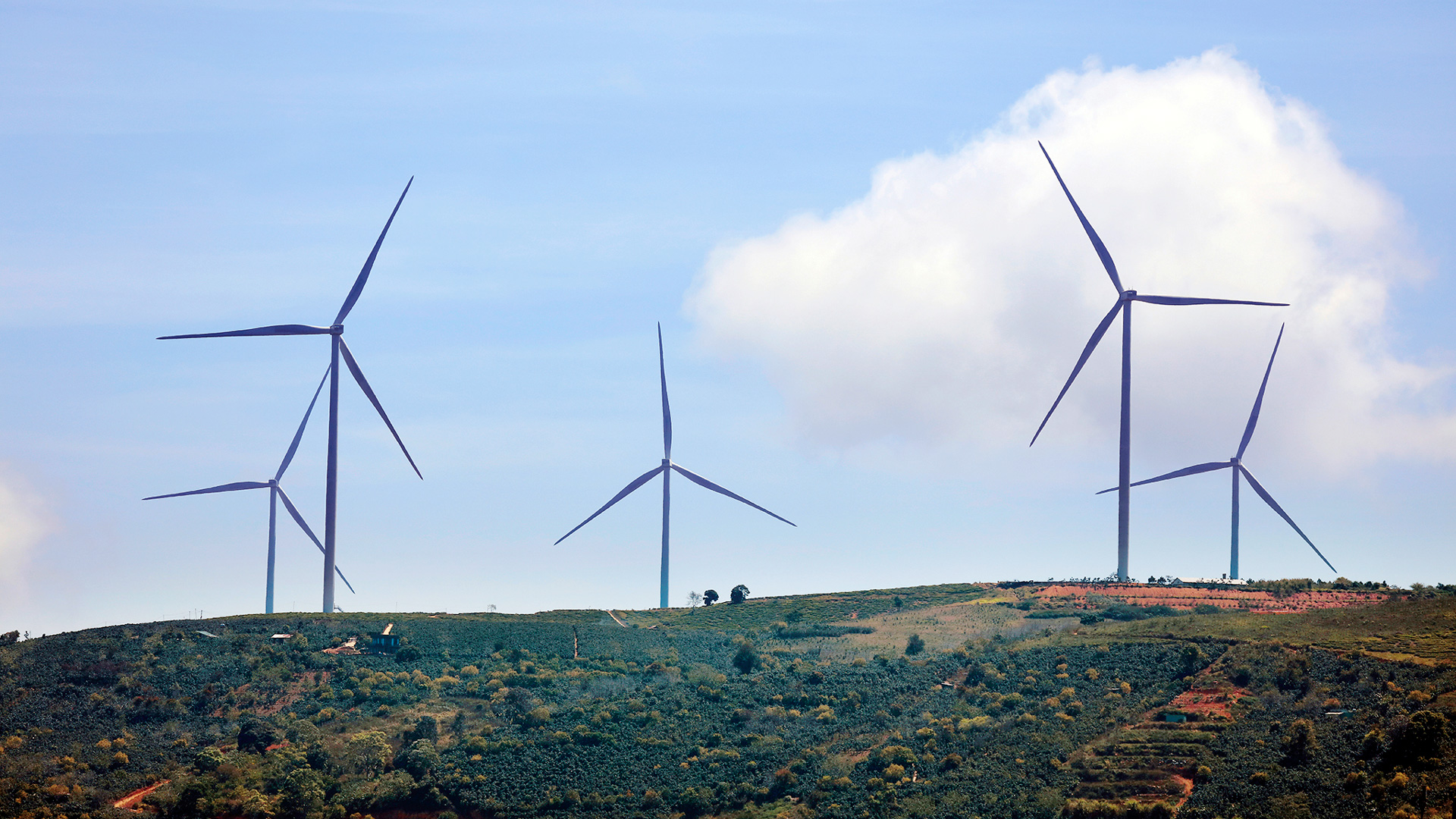 Dự án Nhà máy Điện gió Cầu Đất đã hoàn tất các hạng mục đầu tư, đấu nối điện thành công