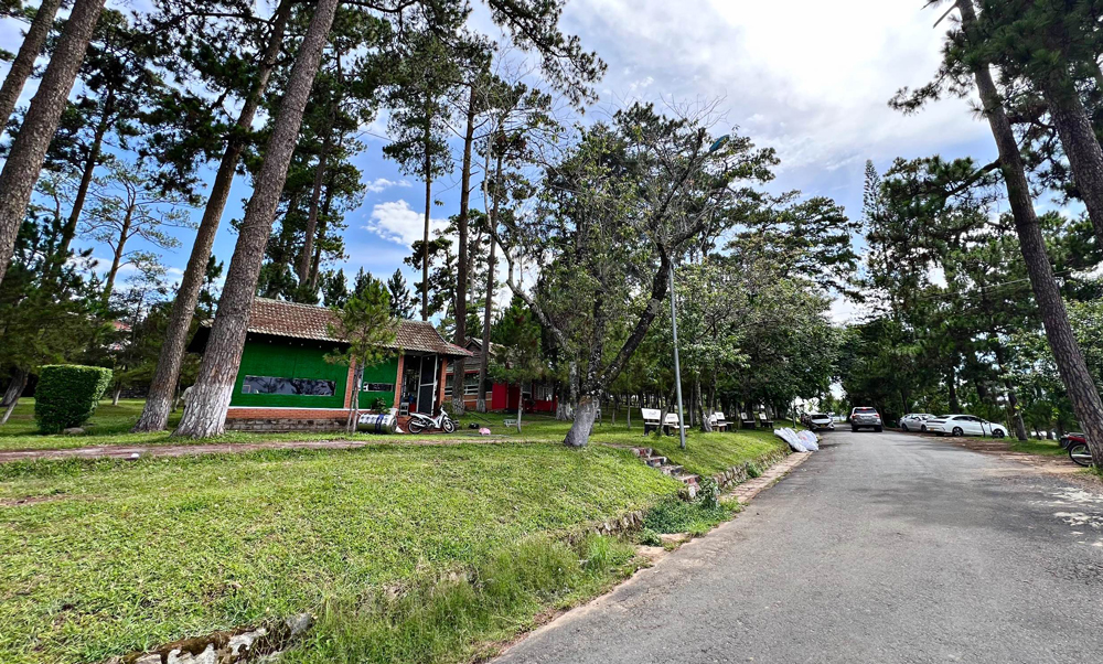Đà Lạt: 2 căn nhà trong công viên Xuân Hương được đấu giá thuê 450 triệu đồng/năm