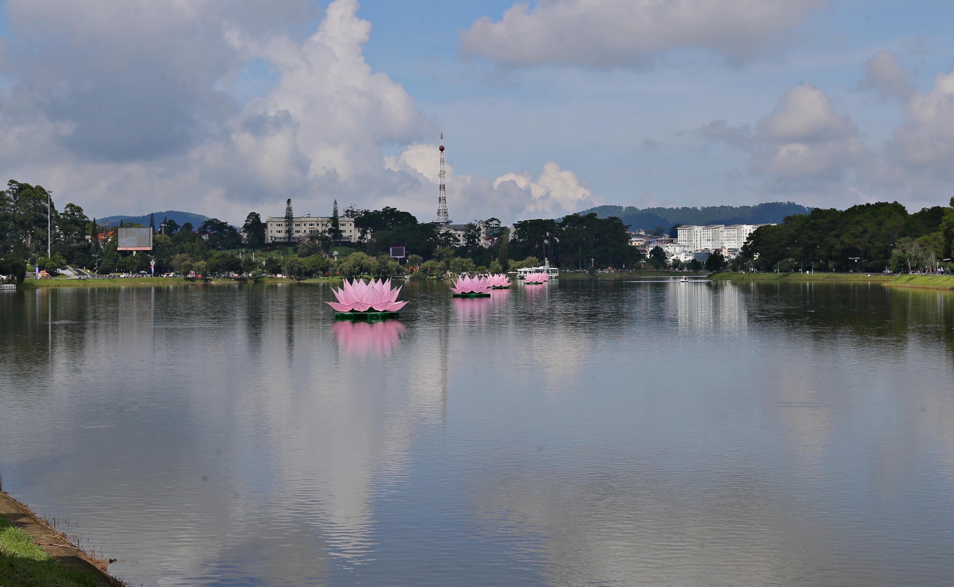 Bảy đóa hoa sen khổng lồ được hạ thủy trên hồ Xuân Hương, TP Đà Lạt trở thành điểm nhấn thú vị trong mùa Phật đản năm nay