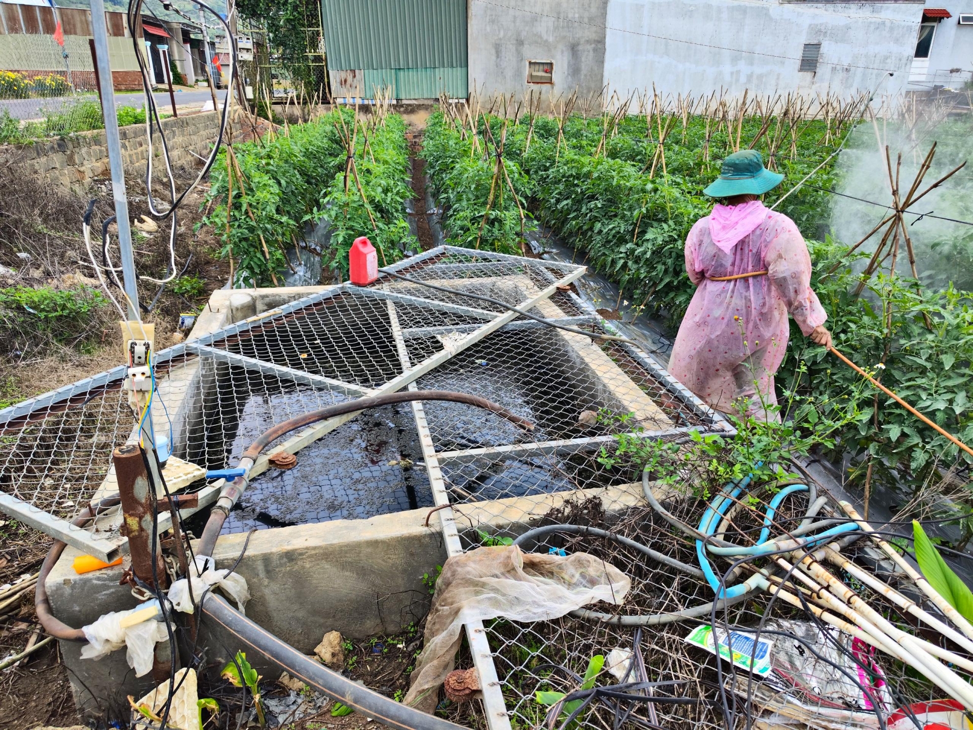 Một miệng bể trữ nước trong vườn nhà dân được khuyến cáo rào chắn cẩn thận