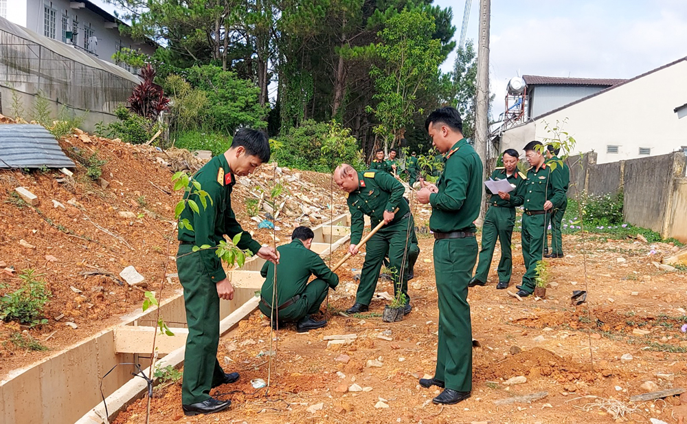 Bộ Chỉ huy Quân sự tỉnh phát động “Tết trồng cây” nhân kỷ niệm 134 năm Ngày sinh Chủ tịch Hồ Chí Minh