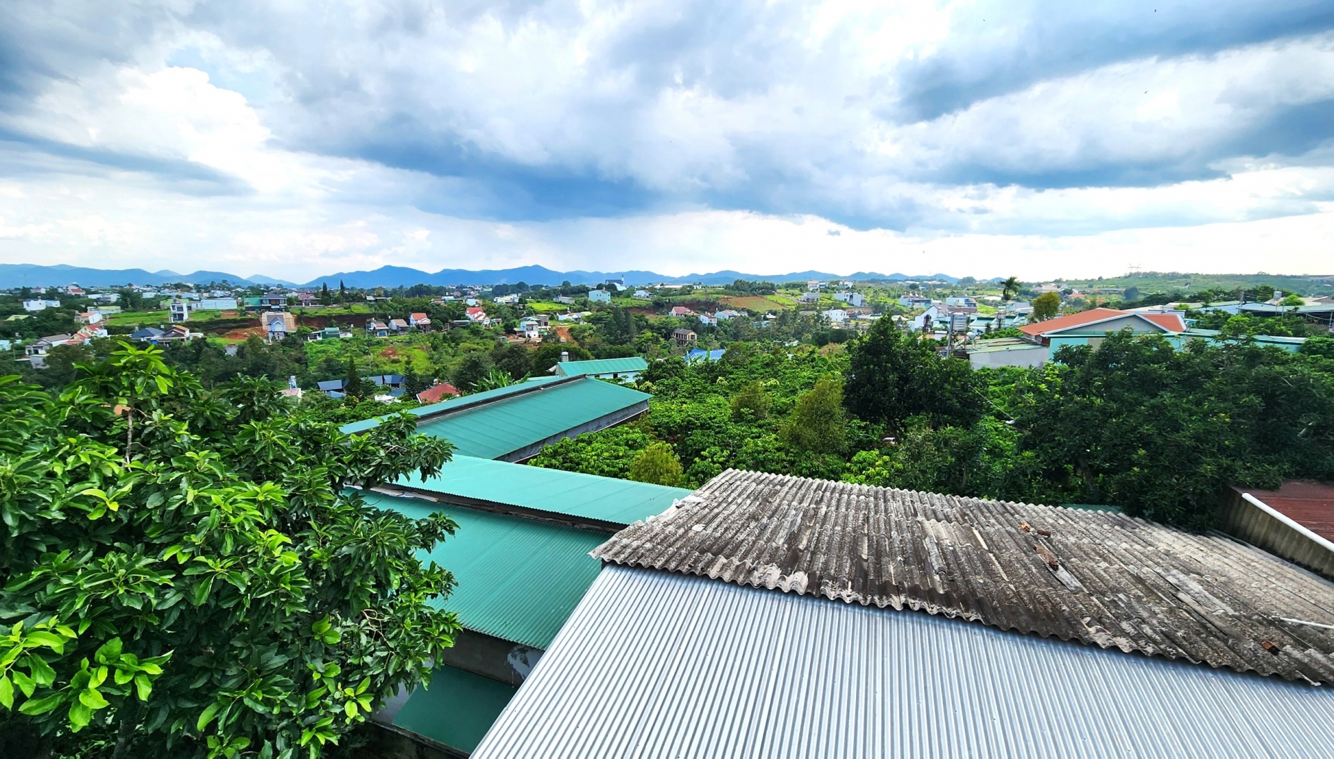 Bảo Lộc: Yêu cầu di dời trại heo gây ô nhiễm môi trường ra khỏi khu dân cư