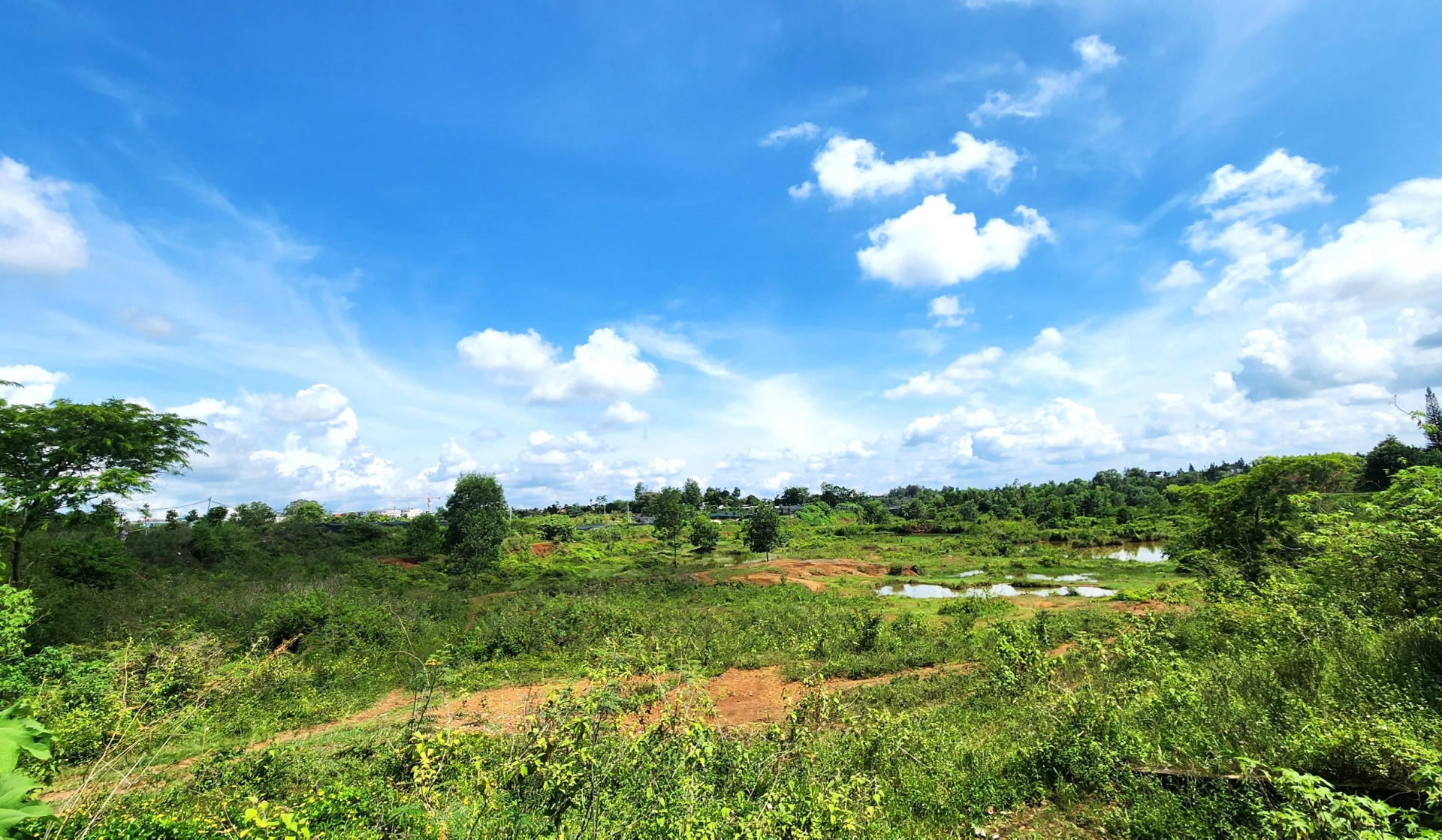 Phần lớn diện tích đất tại hồ Nam Phương 2 thuộc đất 287 do Nhà nước quản lý được UBND TP Bảo Lộc thu hồi để triển khai Dự án công viên