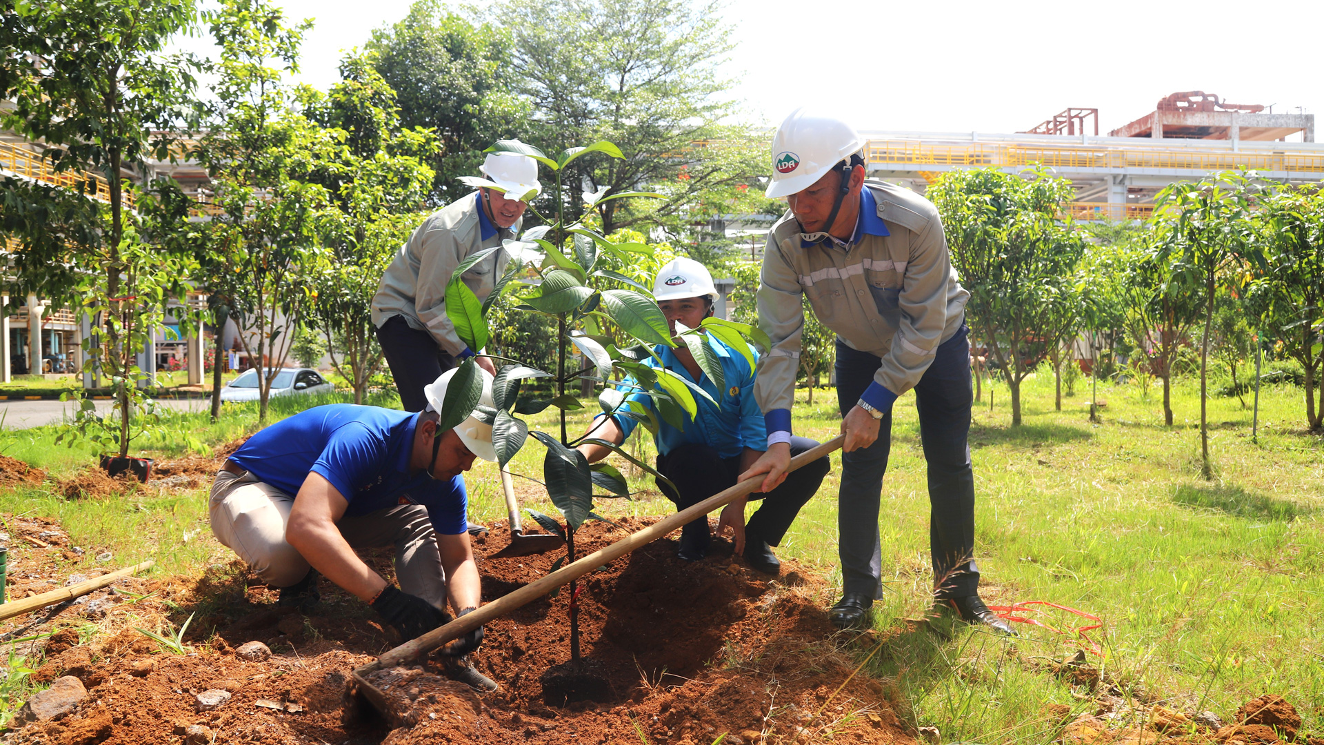 Công ty Nhôm Lâm Đồng chú trọng trồng cây xanh bảo vệ môi trường