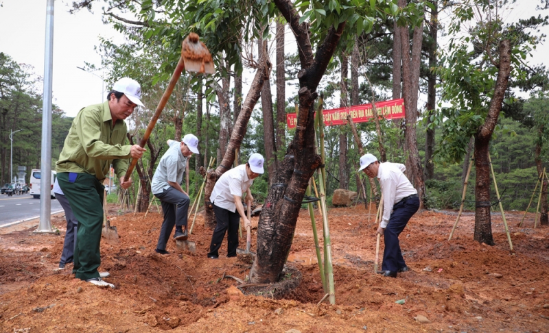 Lâm Đồng phát động “Tết trồng cây” nhân dịp kỷ niệm 134 năm Ngày sinh của Bác Hồ