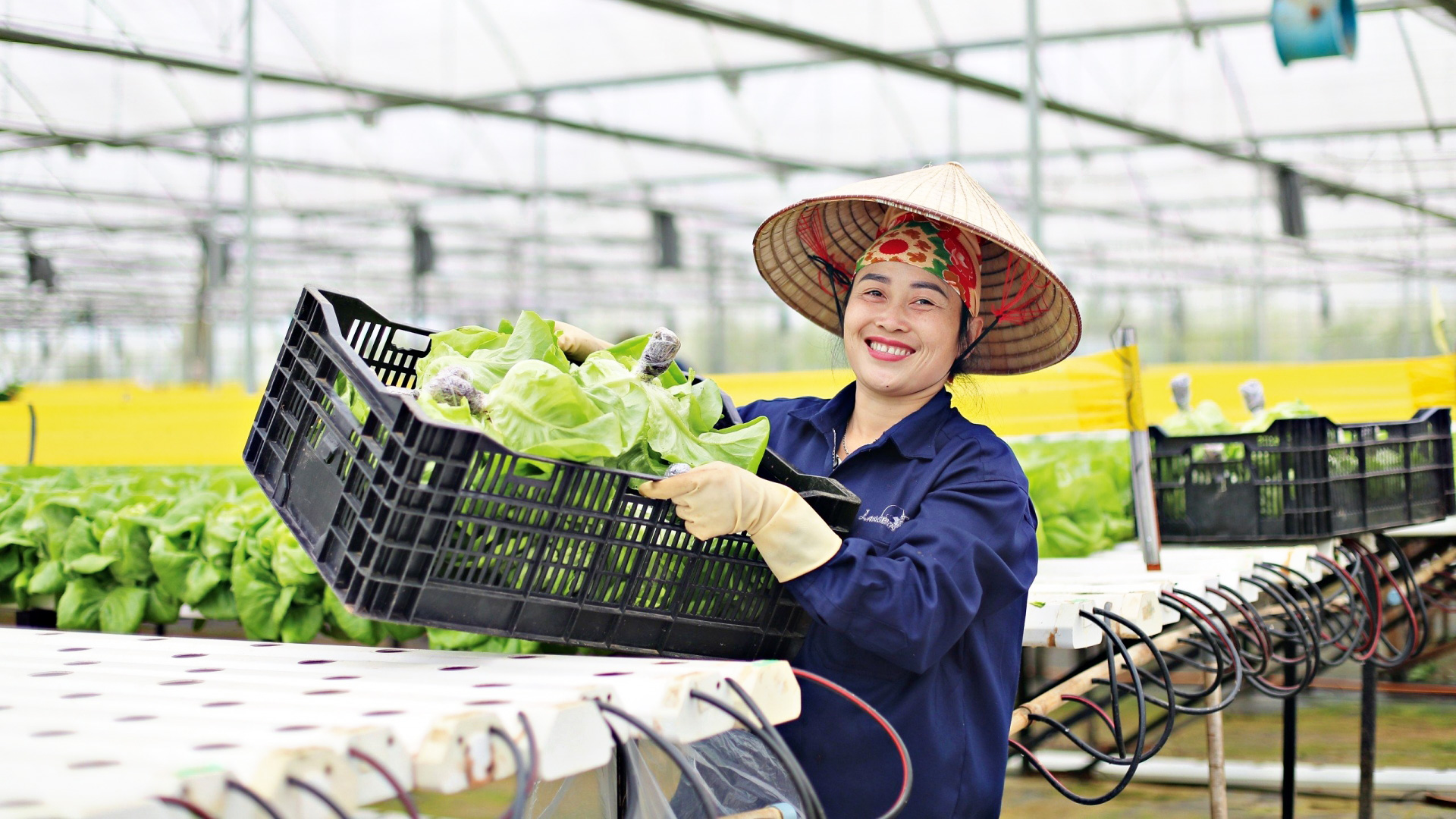 Nông nghiệp tuần hoàn đang trở thành chiến lược phát triển bền vững tại Lâm Đồng. Ảnh: Chính Thành