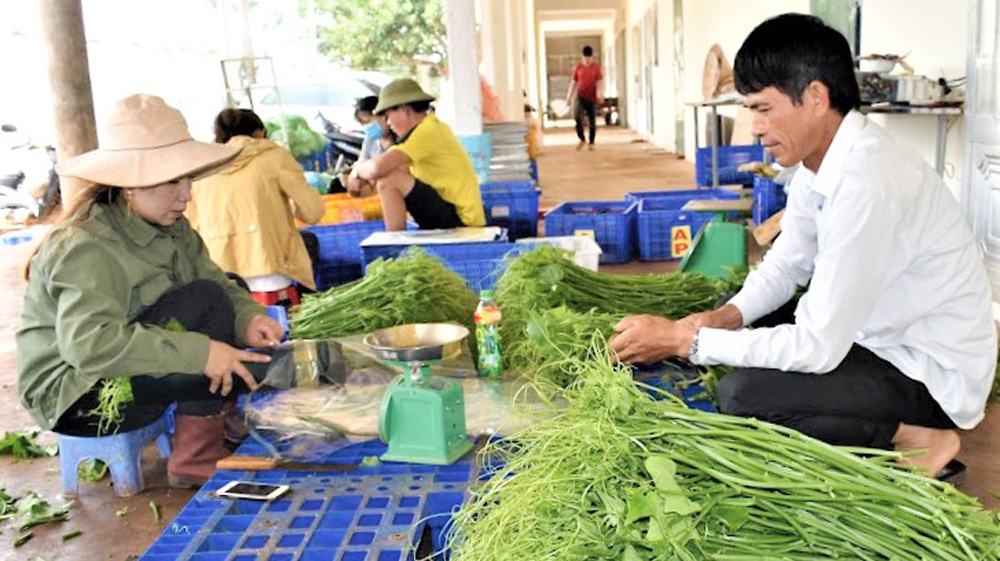 Hợp tác xã Dịch vụ Nông nghiệp tổng hợp An Phú, huyện Đức Trọng đã tái sử dụng 
phụ phẩm hấp nhiệt độ cao khử trùng, tạo ra giá thể sạch nguồn bệnh cho cây trồng