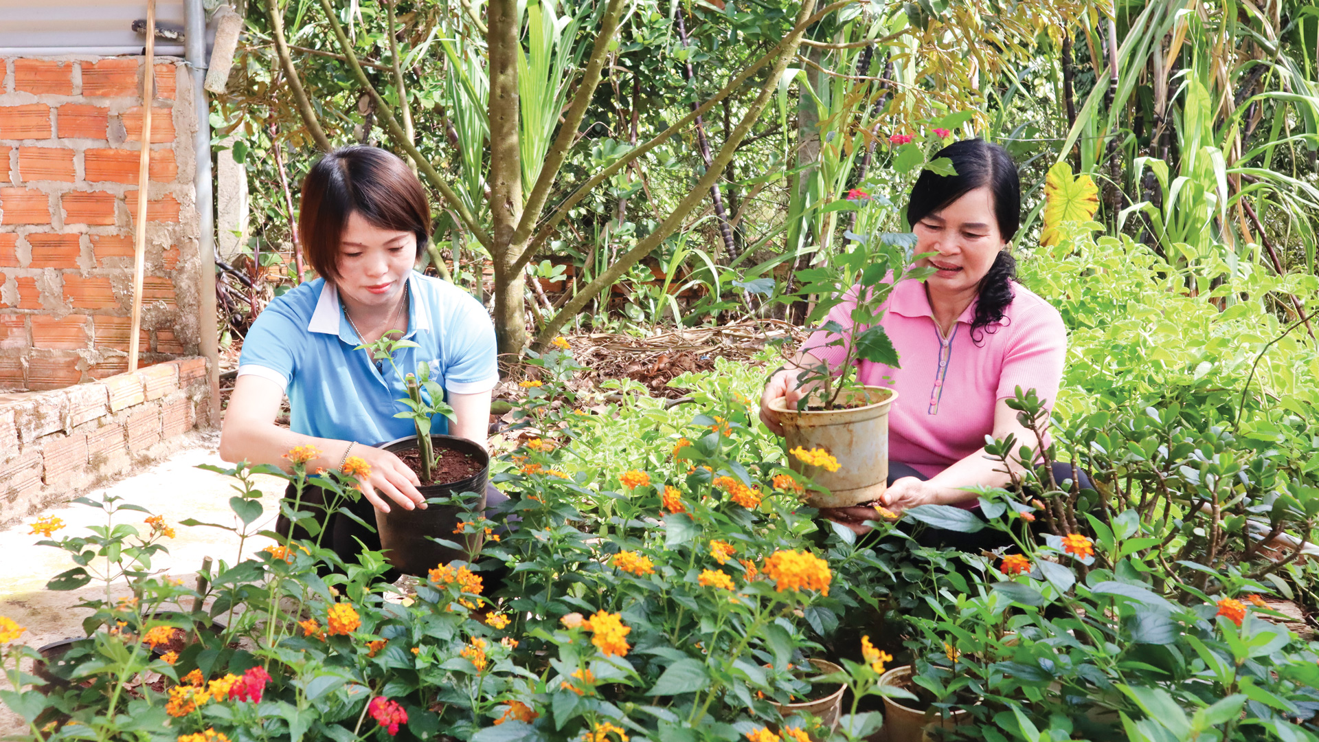 Hội viên phụ nữ xã Đinh Lạc ươm cây giống để thực hiện những tuyến đường hoa