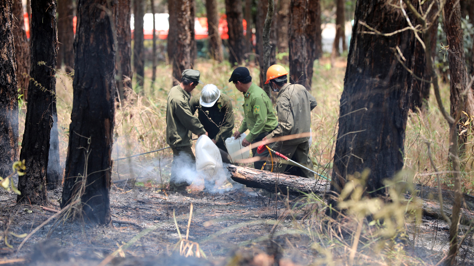 Lực lượng quản lý, bảo vệ rừng, chữa cháy rừng