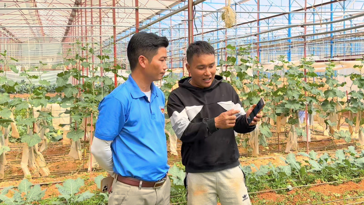 Tuổi trẻ Lâm Đồng đổi mới trong sản xuất nông nghiệp 