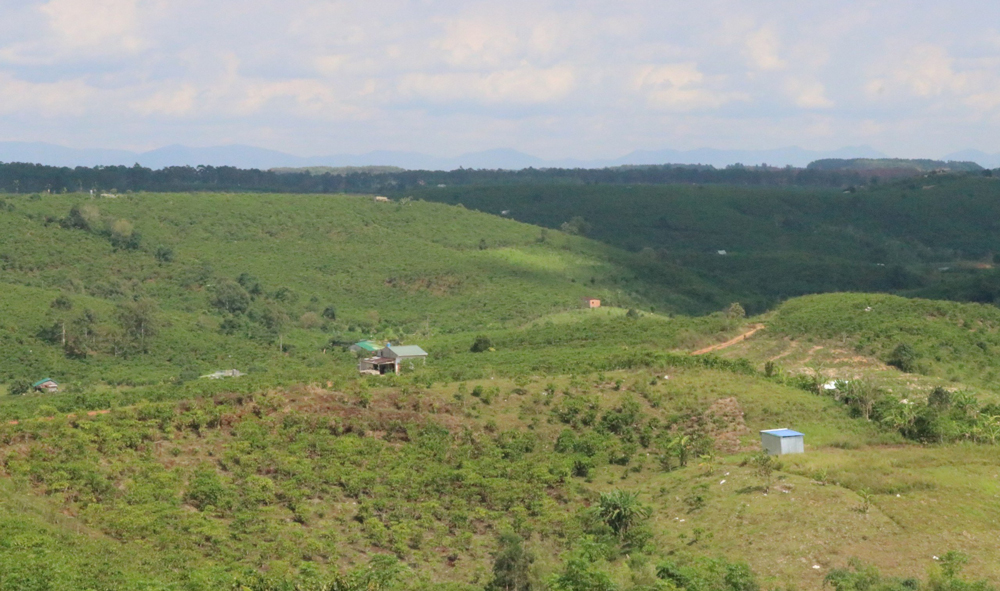 Bảo Lâm: Chỉ đạo xử lý liên quan đến 182 ha đất Khu tái định canh Dự án Tổ hợp Bô xít - Nhôm Lâm Đồng