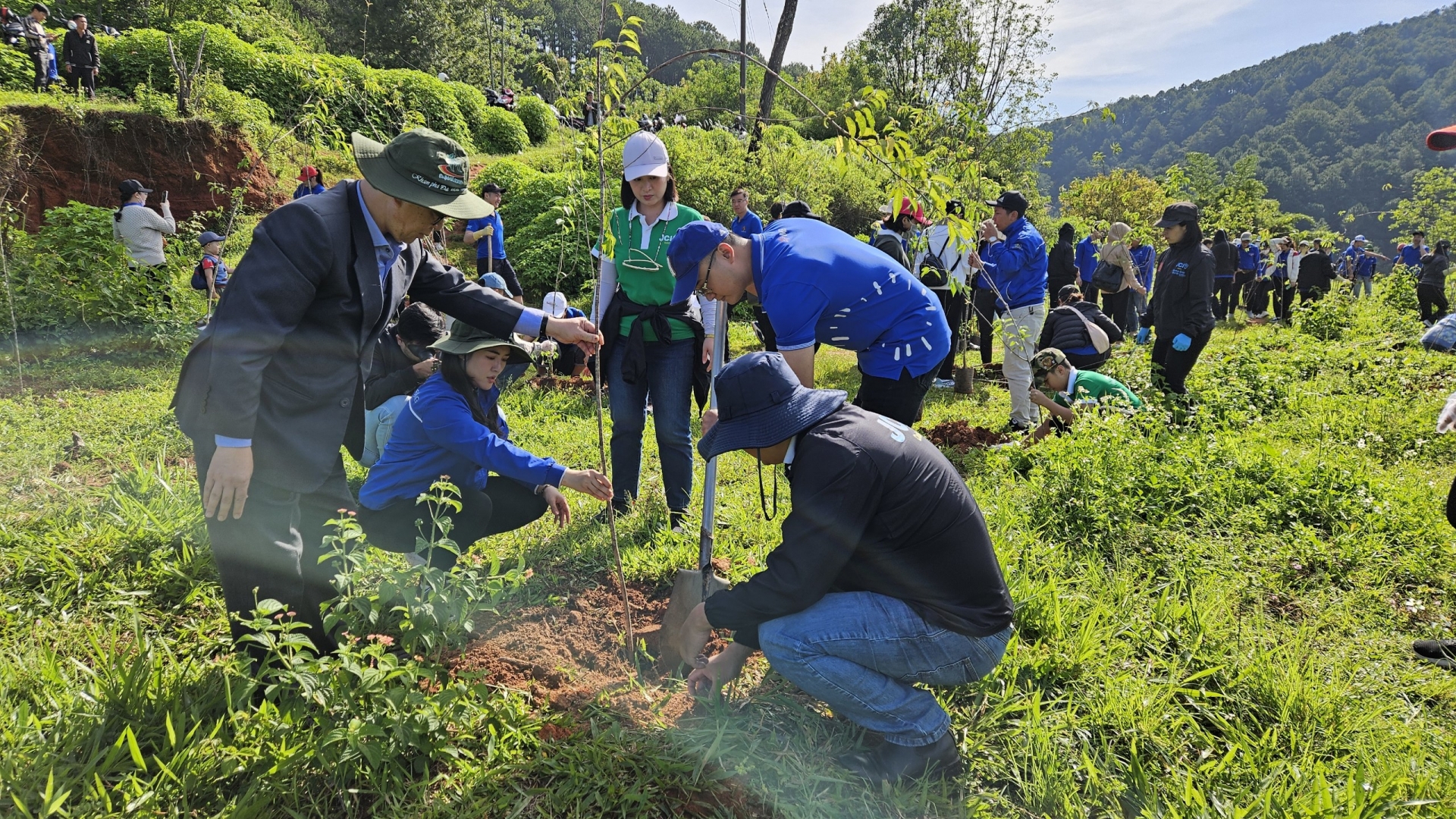 Đoàn Khối Doanh nghiệp ra quân trồng 400 cây Mai Anh Đào