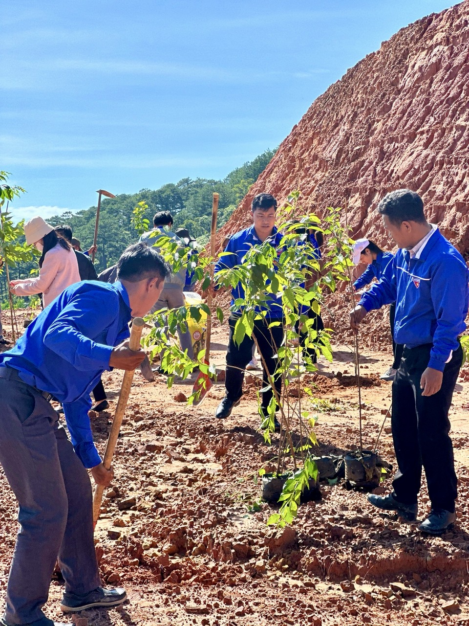 đoàn viên thanh niên huyện Lạc Dương đã tham gia trồng 100 cây 