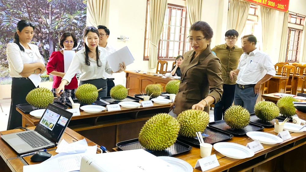 Sắp diễn ra Hội thi trái cây huyện Đạ Huoai