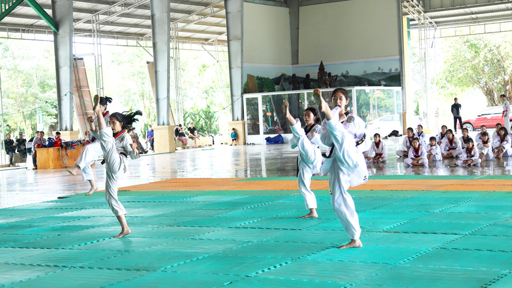 Gần 100 võ sinh Taekwondo tham dự Kỳ thi thăng đẳng quốc gia