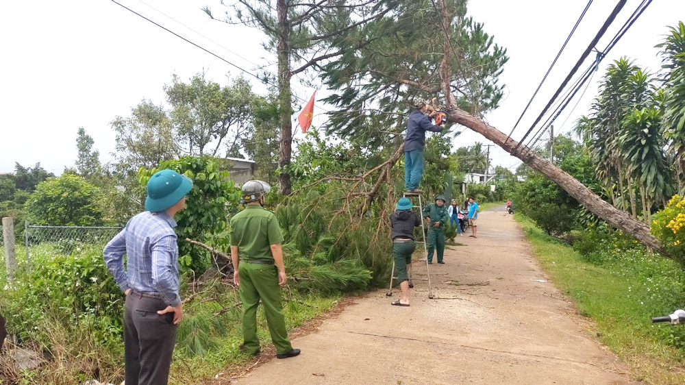 Bảo Lộc: Giúp người dân khắc phục hậu quả lốc xoáy