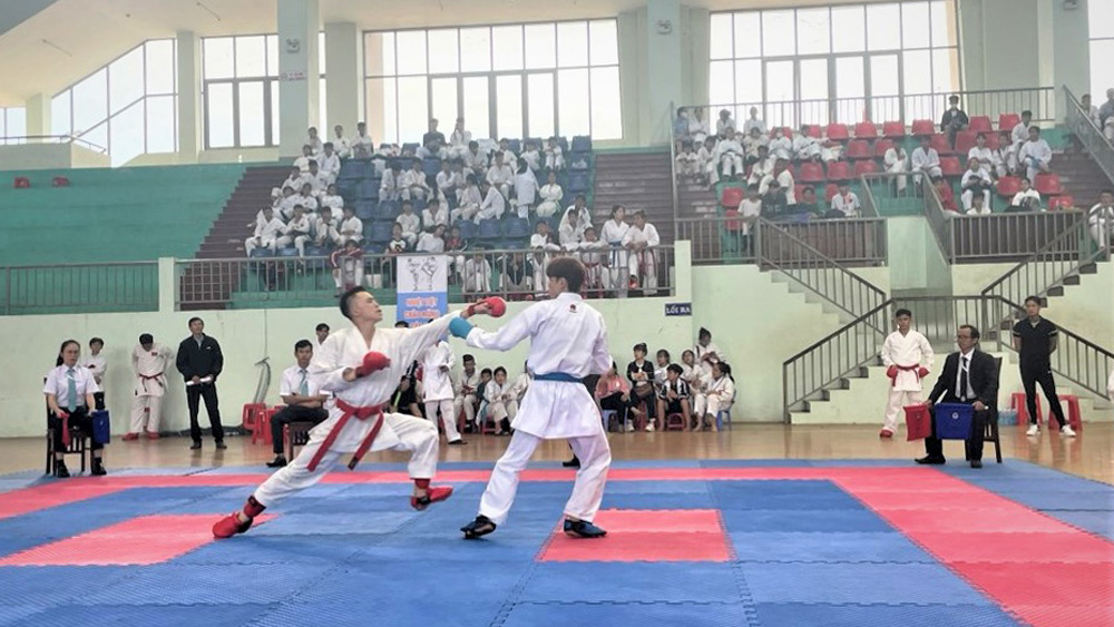 Trên 250 võ sinh tranh tài tại Giải Karate tỉnh Lâm Đồng - 2023