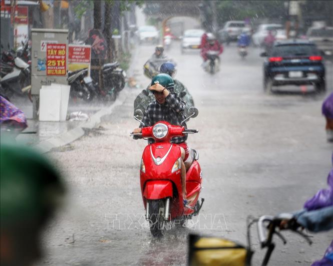 Thời tiết ngày 19/6: Bắc Bộ có mưa rào và dông