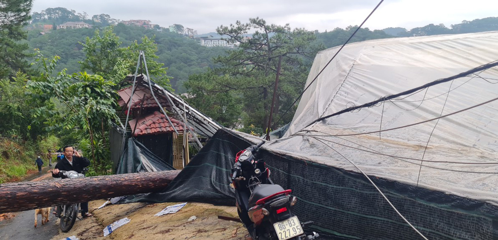 Đà Lạt: Tổ chức trực ban 24/24 giờ để đối phó với tình hình mưa lũ
