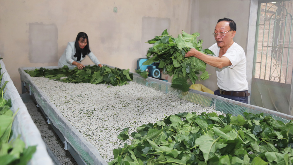 Ăn nên, làm ra nhờ cây dâu, con tằm