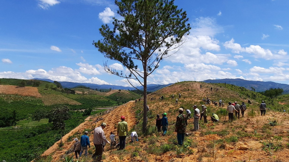 Phúc Thọ nỗ lực bảo vệ rừng