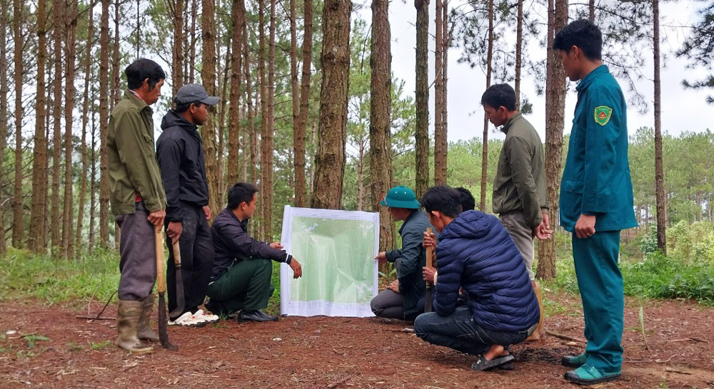 Chuyển biến trong công tác quản lý, bảo vệ rừng ở xã Lát