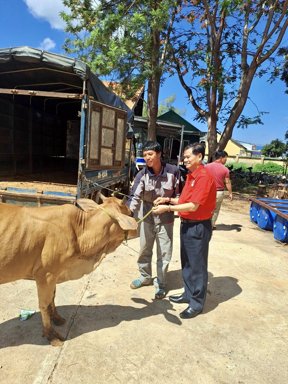Trao  tặng bò sinh sản cho các gia đình có hoàn cảnh khó khăn  