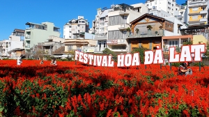 Festival hoa Đà Lạt lần thứ X chính thức lấy chủ đề “Hoa Đà Lạt - Bản giao hưởng sắc màu” 
