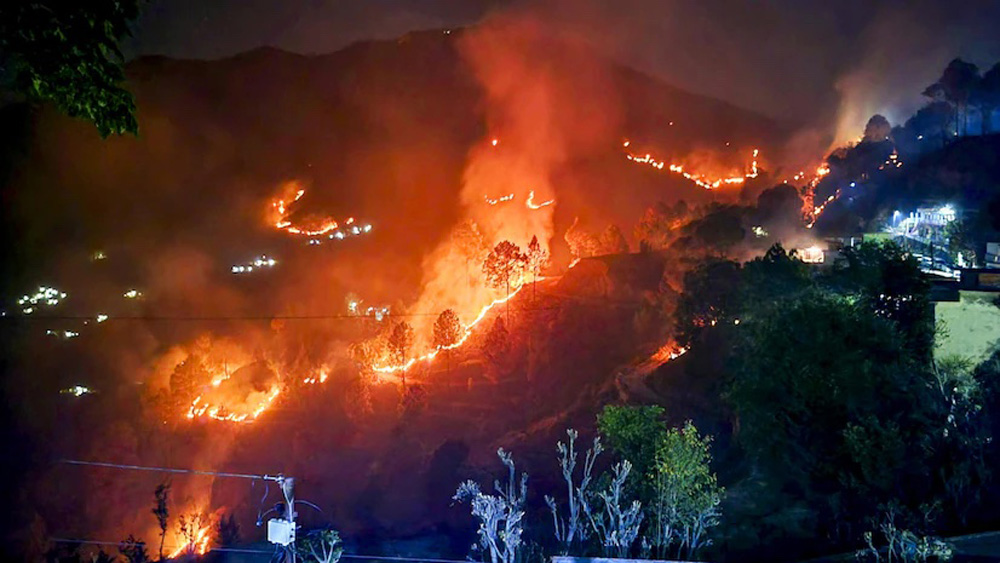 Ngọn lửa dữ dội trong một vụ cháy rừng gần làng Saterakhal, ở quận Rudraprayag, bang Uttarakhand