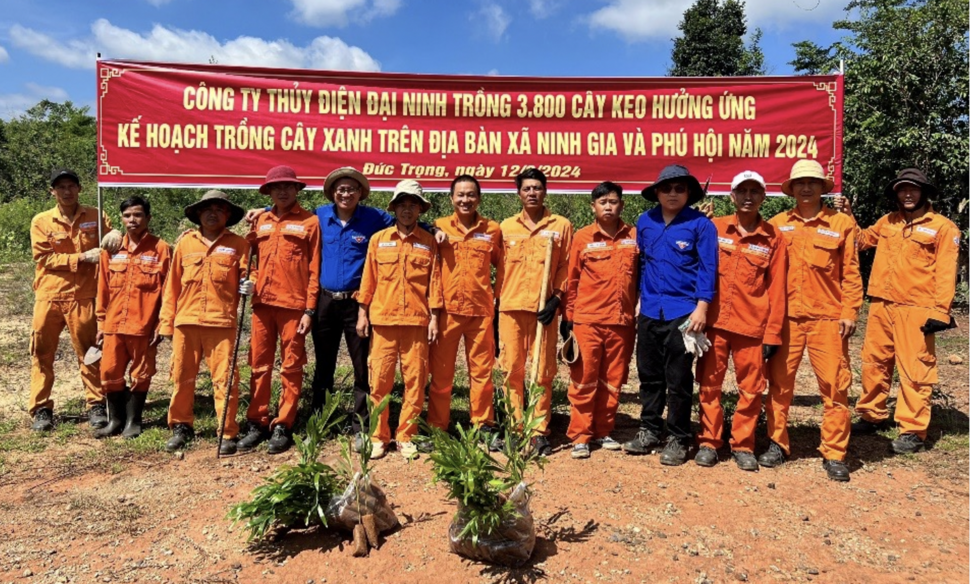 
Đoàn viên thanh niên Công ty tham gia trồng cây xanh
