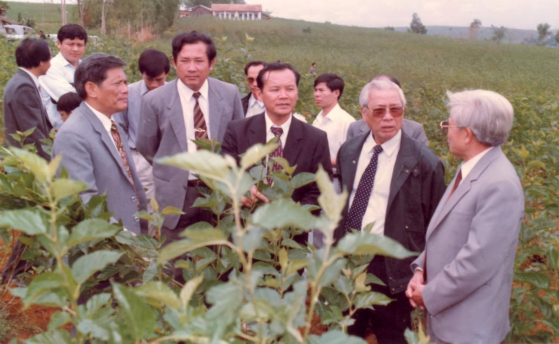 Thủ tướng Võ Văn Kiệt (đeo kính đen) và các đồng chí  Bí thư, Chủ tịch tỉnh Lâm Đồng thăm nông trường dâu Kohinda 1993-Ảnh Tư liệu