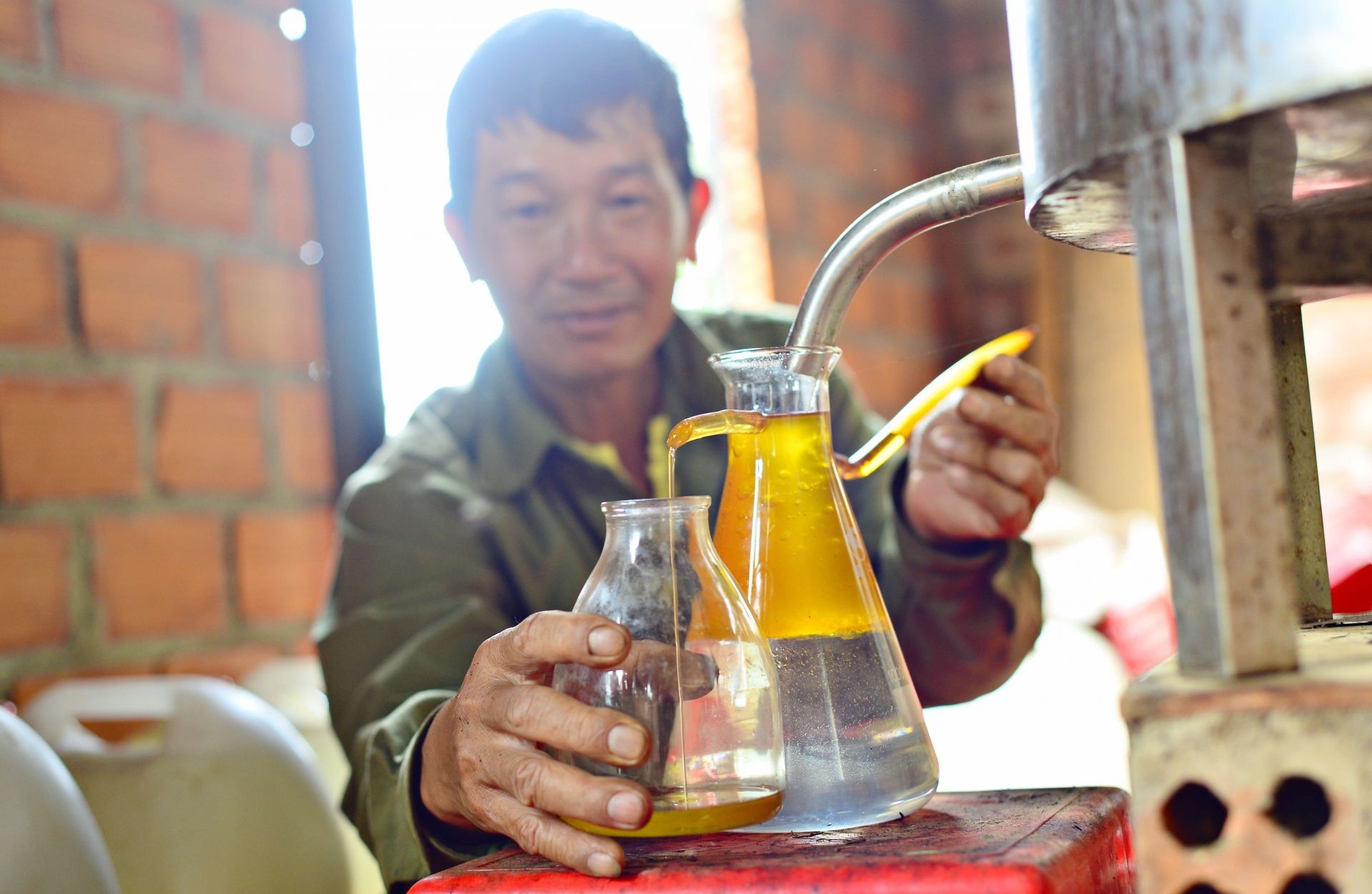 Cây hương thảo được gia đình chị Châu chiết xuất tinh dầu thiên nhiên nguyên chất được nhiều nơi ưu chuộng, đặt mua