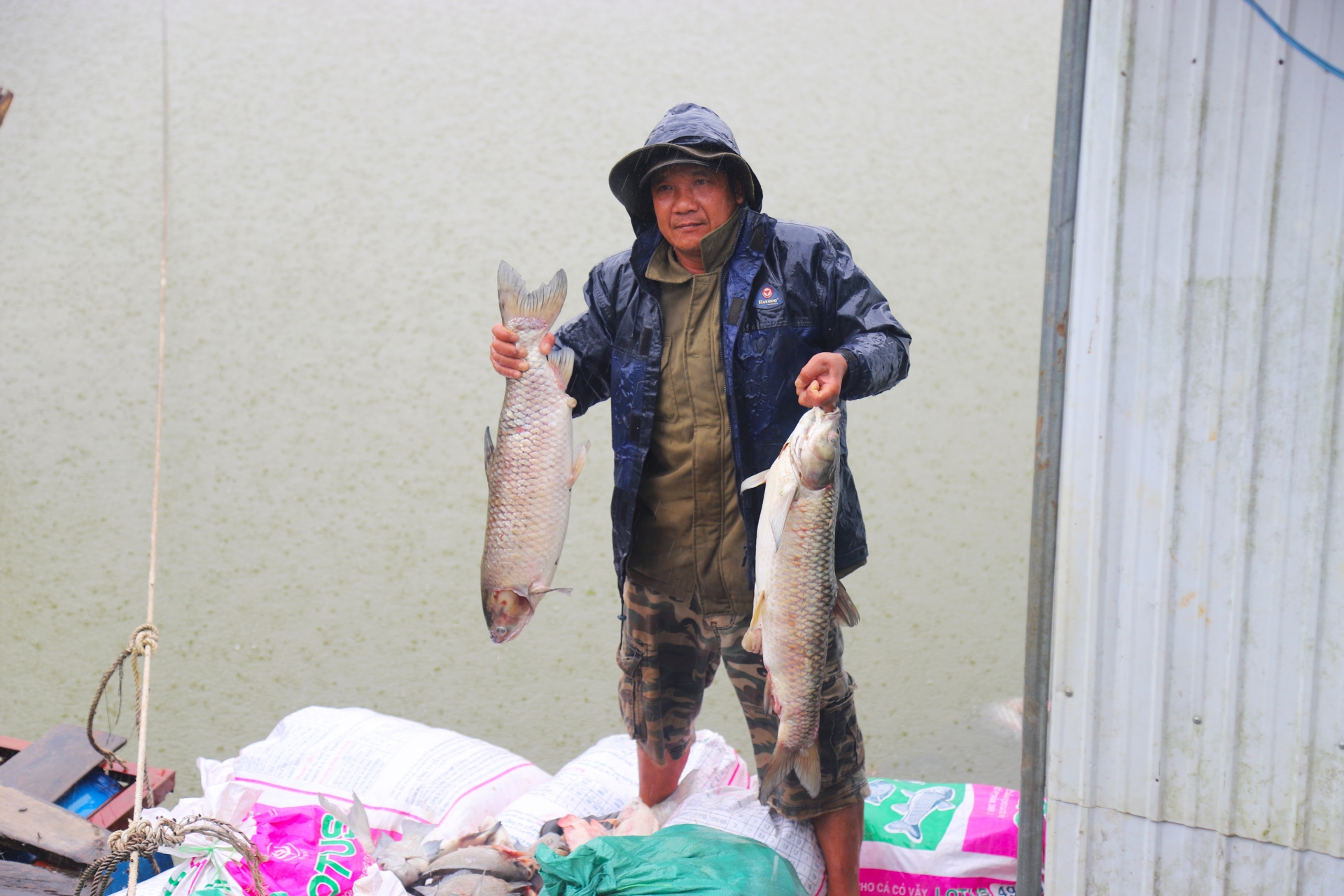 Cá trắm cỏ các hộ dân nuôi tại hồ Mai Thành có trọng lượng từ 5 - 8 kg/con bị chết hàng loạt gây thiệt hại lớn