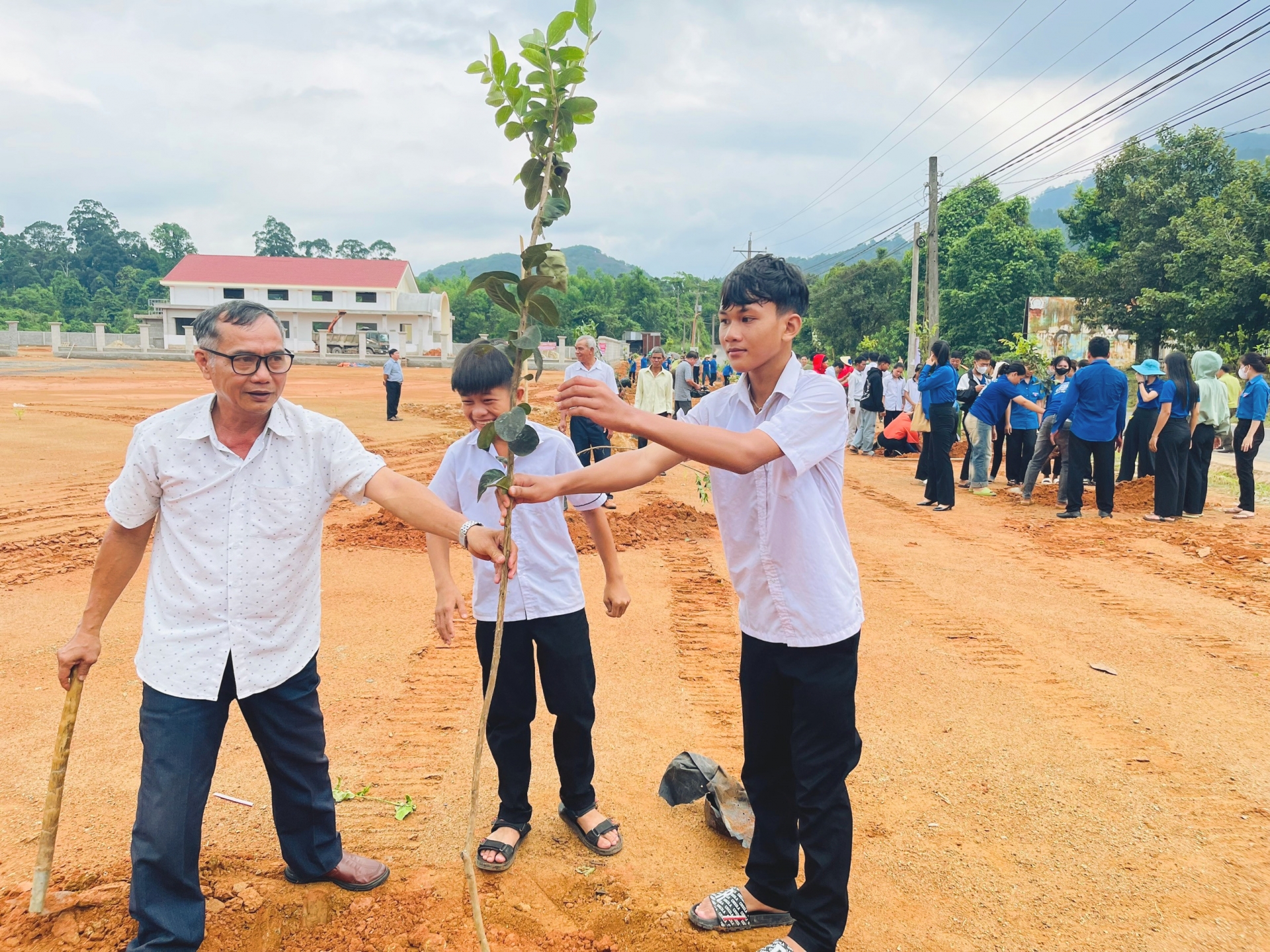 Thầy, cô giáo cùng các em học sinh tham gia trồng cây xanh